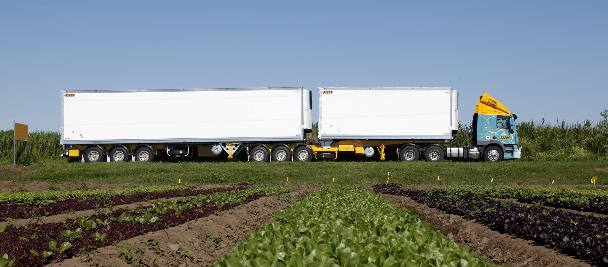 Application for Credit Dyers Distribution